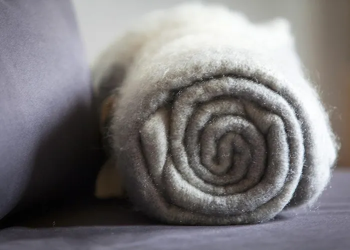 La Commanderie Affittacamere Cossonay